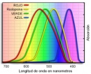 curvas de absorcion