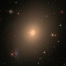 galaxia m49