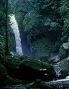 selva de honduras
