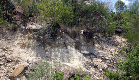 Estos sedimentos probarían que el impacto Chicxulub precedería en mucho tiempo a la extinción del 