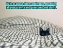 NSA quantum cat