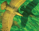 argentavis magnificens