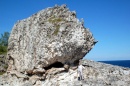 bahamas rocas