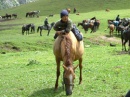 caballo kazajo