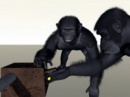 chimpances virtuales