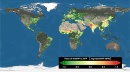 consumo global plantas