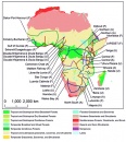 corredores africanos