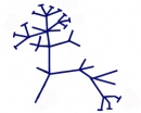 darwin tree azul