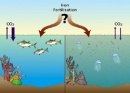 fertilizacion oceano