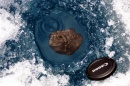 meteorito del lago tagish