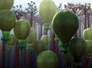 plantas globo