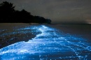 playa bioluminiscente