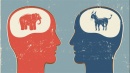 polarizacion politica