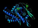 proteina AlphaFold