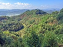 proyecto chino reforestacion