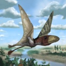 pterosaurio 01