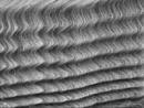 tejido de nanotubos