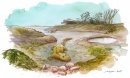tetrapodos a la orilla